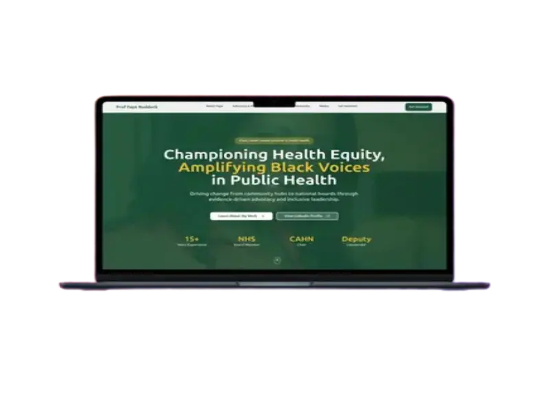 Prof Faye Ruddock website preview
